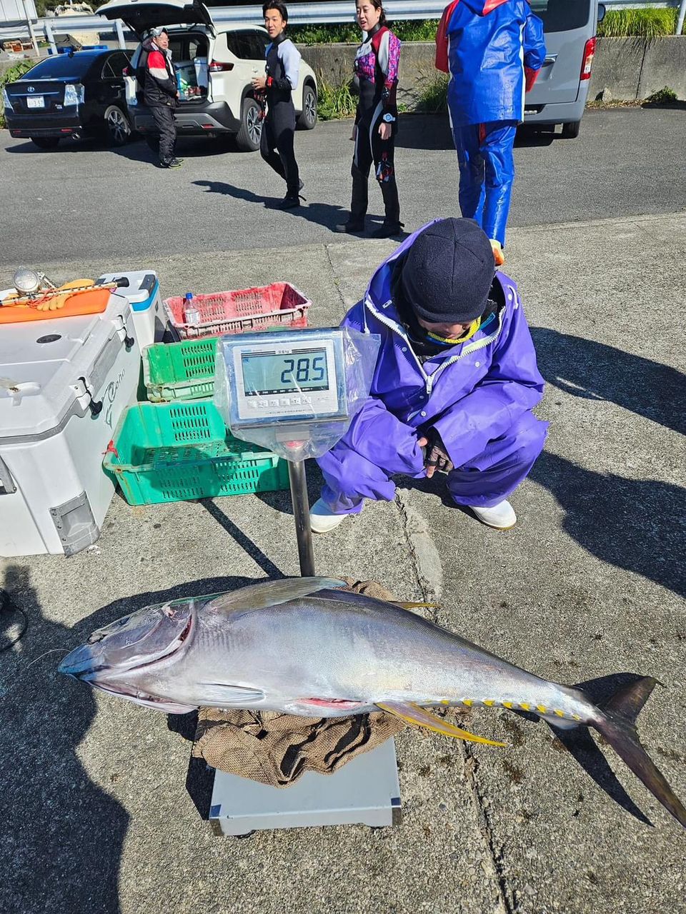 彦ニャンさんの釣果 3枚目の画像