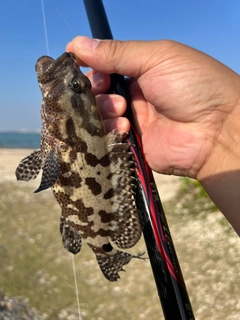 イシミーバイの釣果