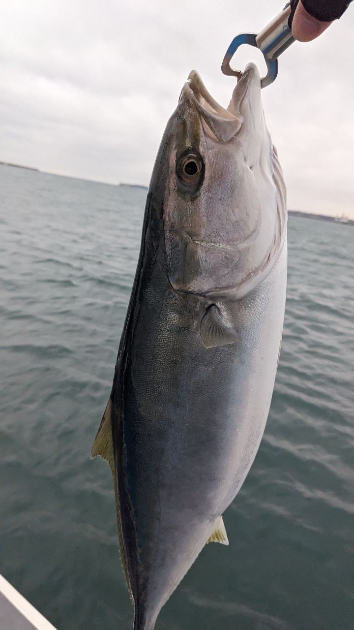 つれないふたりさんの釣果 1枚目の画像