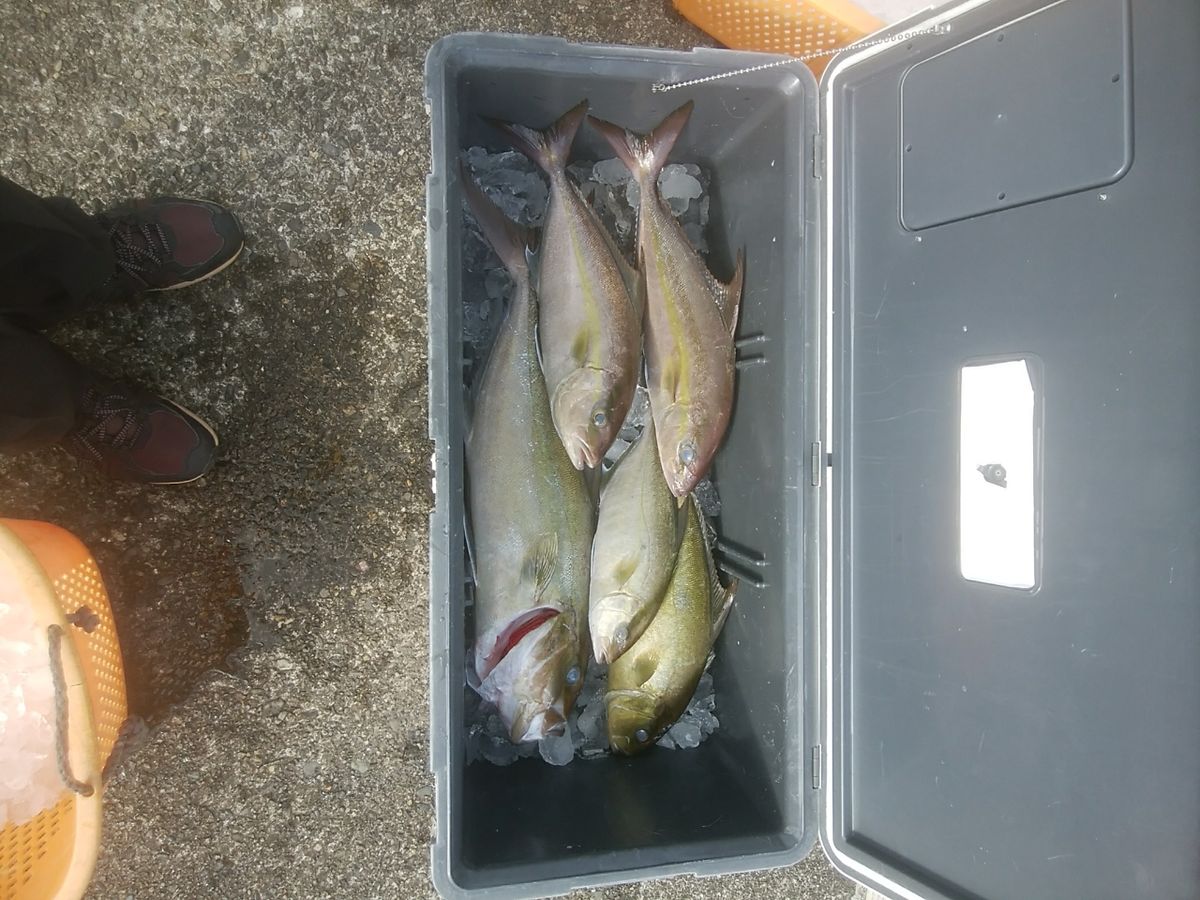 oceaninpact_yukawaさんの釣果 2枚目の画像