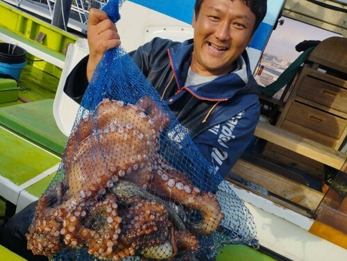 マダコの釣果