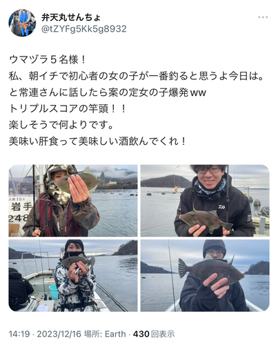 ウマヅラハギの釣果