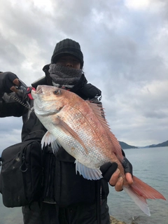 タイの釣果