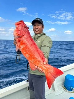 スジアラの釣果