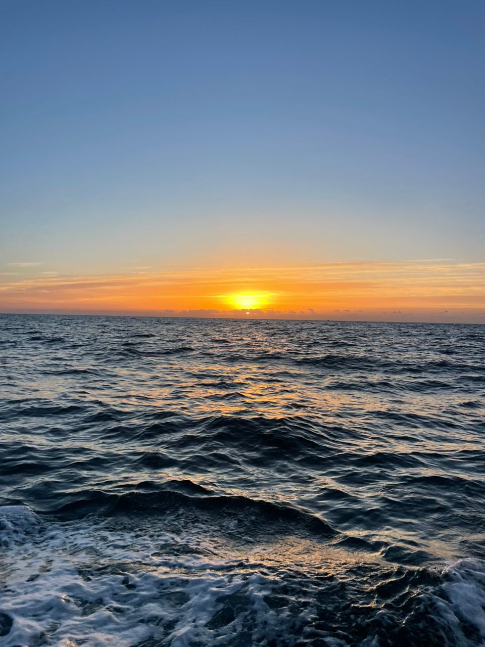 kouhe0110さんの釣果 2枚目の画像