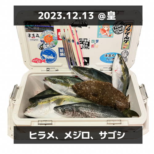 メジロの釣果