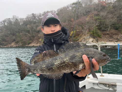 アイナメの釣果