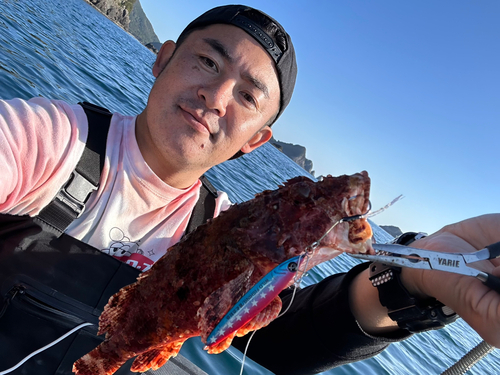 オニカサゴの釣果