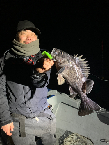 クロソイの釣果