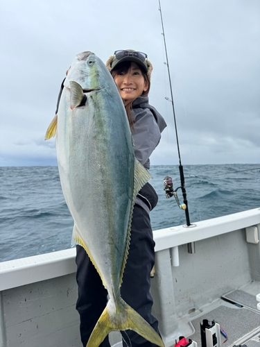 ブリの釣果