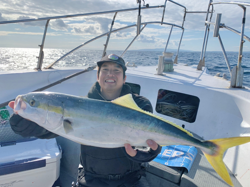 ブリの釣果