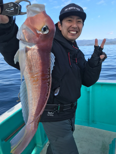 アカアマダイの釣果