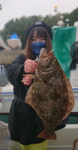 ヒラメの釣果