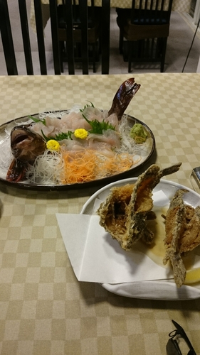 アイナメの釣果