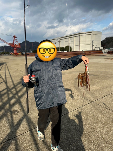 タコの釣果