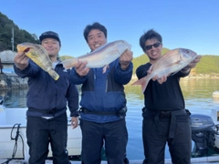 タイの釣果