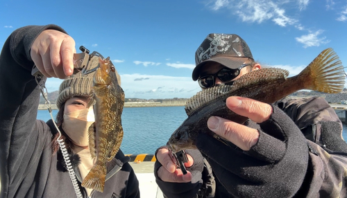 アイナメの釣果