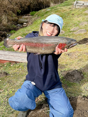 ニジマスの釣果