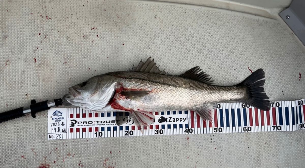 ユキちゃんさんの釣果 3枚目の画像