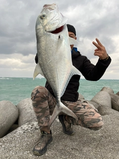 ロウニンアジの釣果