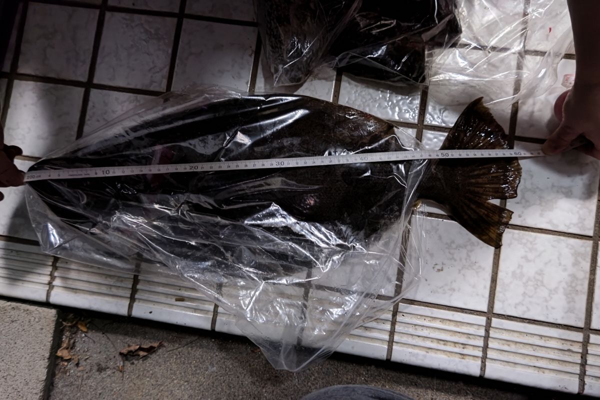 omoikeriさんの釣果 2枚目の画像