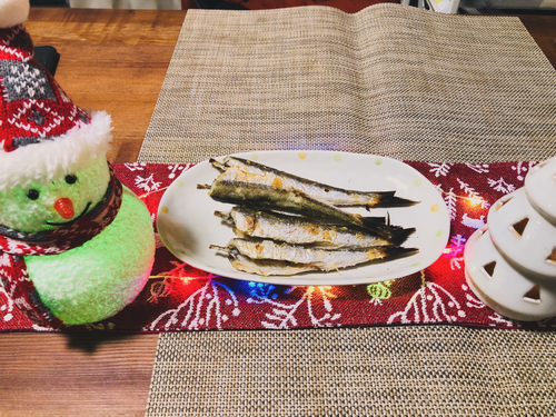 カマスの釣果