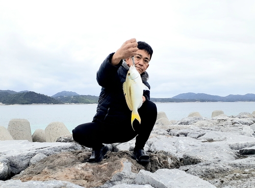 ジューマー(ヒトスジタマガシラ)の釣果