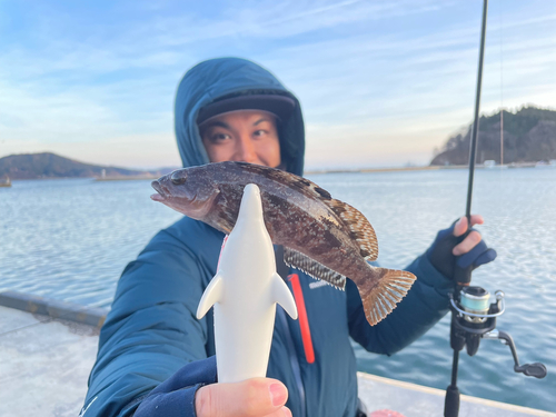 アイナメの釣果