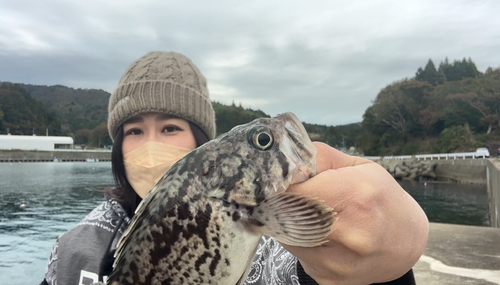 クロソイの釣果