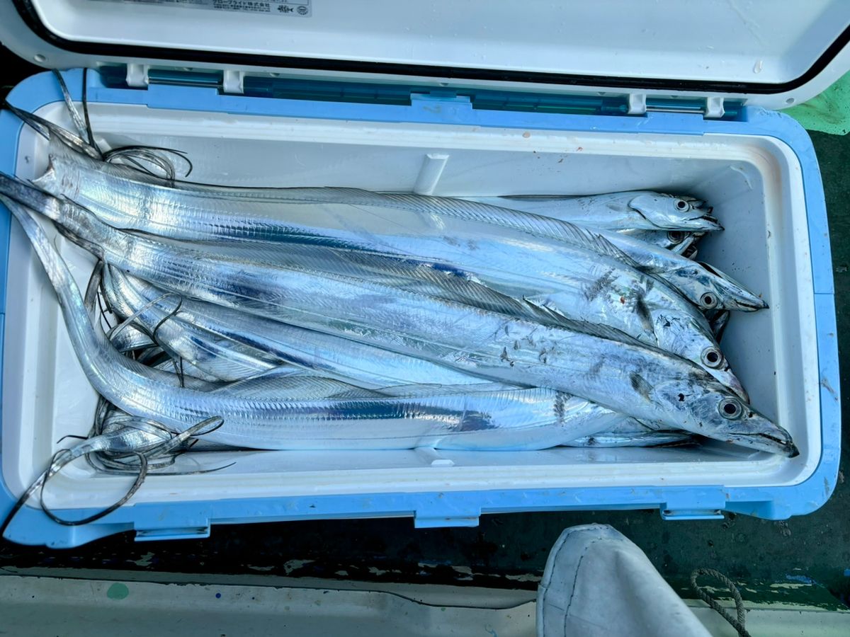運任せアングラーさんの釣果 2枚目の画像