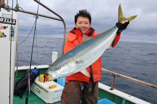 ブリの釣果