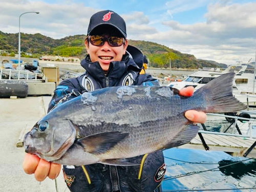 クチブトグレの釣果