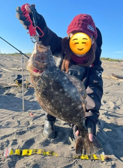 マゴチの釣果