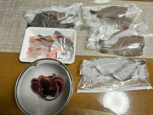 カレイの釣果