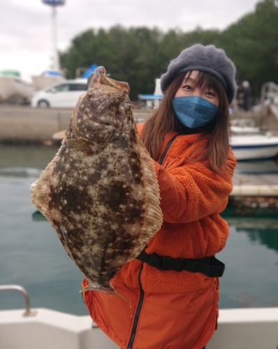 ヒラメの釣果