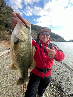 ラージマウスバスの釣果