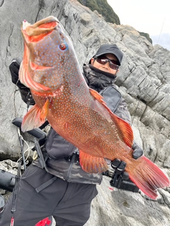 スジアラの釣果