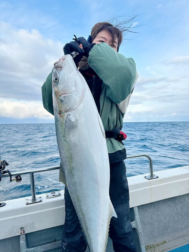 ブリの釣果