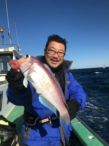 アマダイの釣果