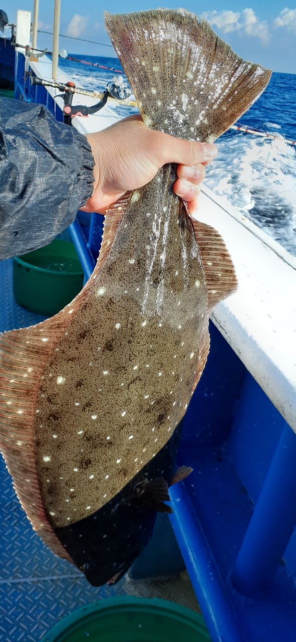 アングラ－Tさんの釣果 1枚目の画像