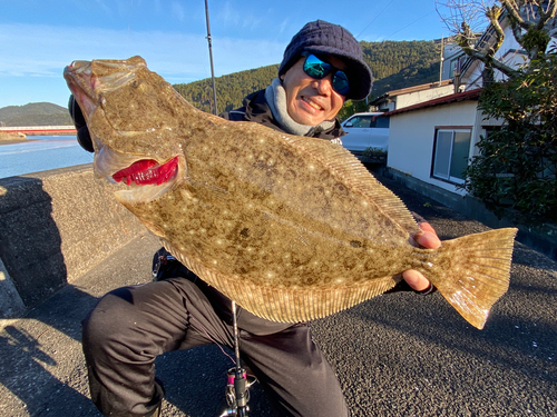 ヒラメの釣果