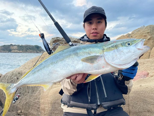 ヤズの釣果