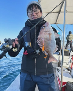 マダイの釣果