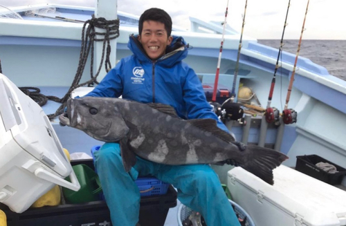 アブラボウズの釣果