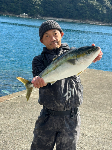 メジロの釣果