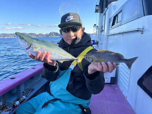 イナダの釣果