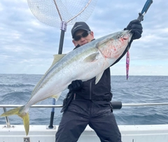 ブリの釣果