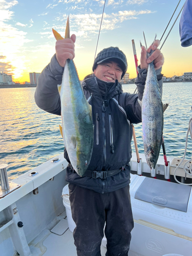 ハマチの釣果