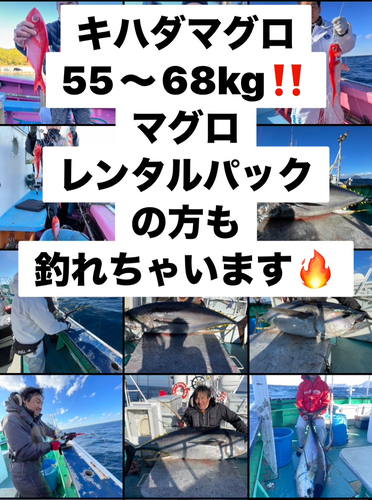 キハダマグロの釣果