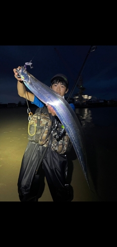 タチウオの釣果